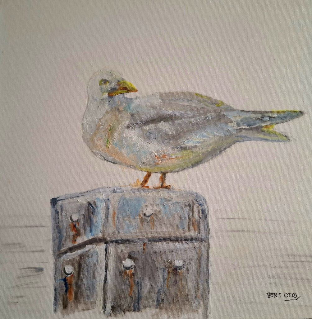 Haven met meeuw, maritiem werk van Bert Otto, kunstwerk van de maand